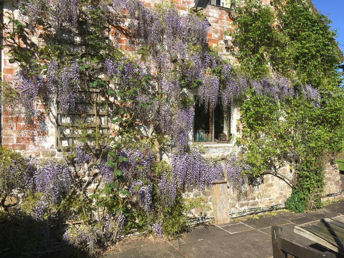 Medieval Cottage In Rural Monmouthshire. Raglan エクステリア 写真